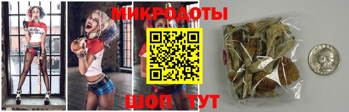Псилоцибиновые грибы ЛСД  где купить наркотик  Санкт-Петербург  Вход с VPN  Галлюциногенные грибы GOLDEN TEACHER 