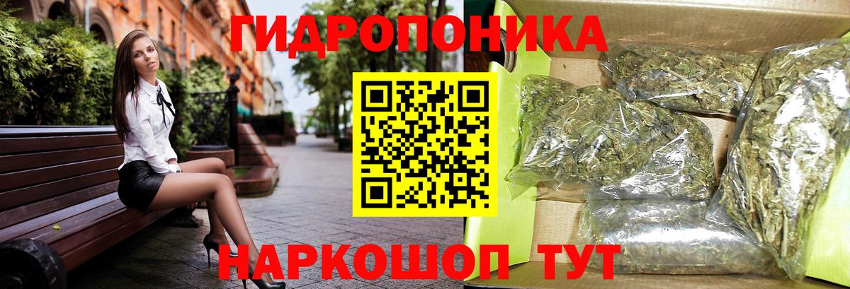 Бошки марихуана VHQ Санкт-Петербург